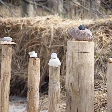 Jonas 別荘 レリク